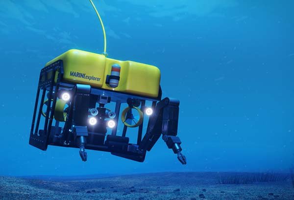The 10-Day Training on  A-Z of Subsea Engineering